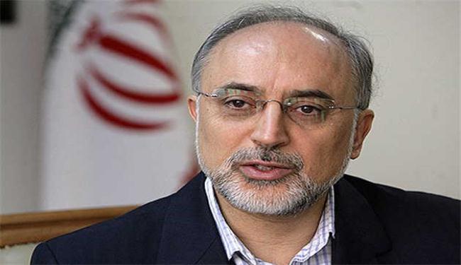 ايران تدعو لعالم خال من السلاح النووي 