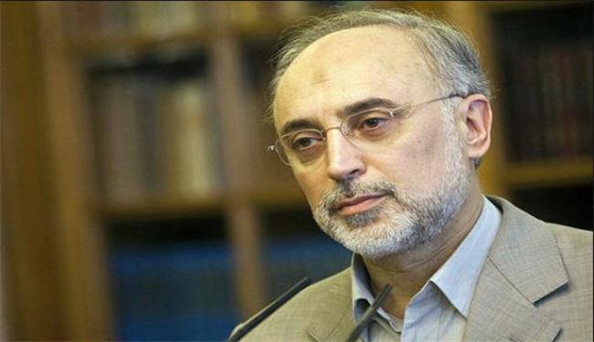 صالحي: رئيس جمهورية الصومال يزور ايران قريبا