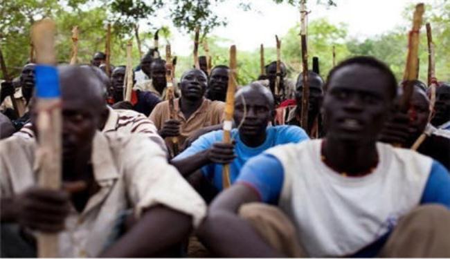 واشنطن قلقة من دعم جنوب السودان لمسلحي كردفان
