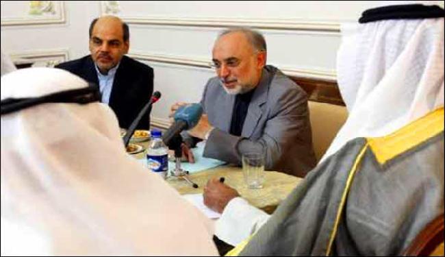 صالحي: لا مبرر للعداء بين ايران ودول المنطقة