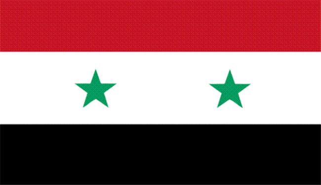 مقتل 8 من قوى الامن السوري برصاص مسلحين