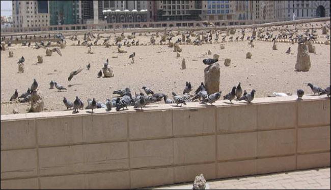 كيف حاول الإعلام السعودي قلب حقيقة جريمة البقيع ؟