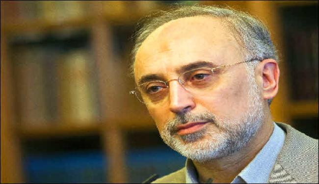 امن المنطقة يتحقق في ظل انهاء تدخل الاجانب