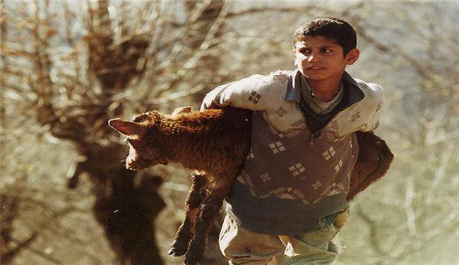 اعلان جوائز مهرجان تورنتو للأفلام الايرانية   