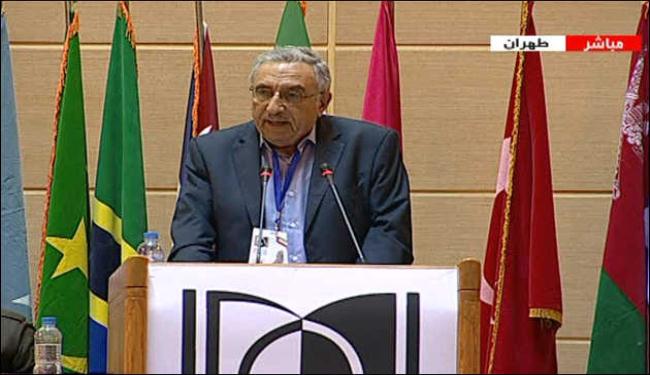 شفيق: القضية الفلسطينية لا تتمثل فقط في حدود 67 