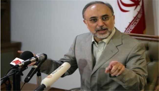 صالحي: ايران واوروبا تمتلكان طاقات هائلة للتعاون