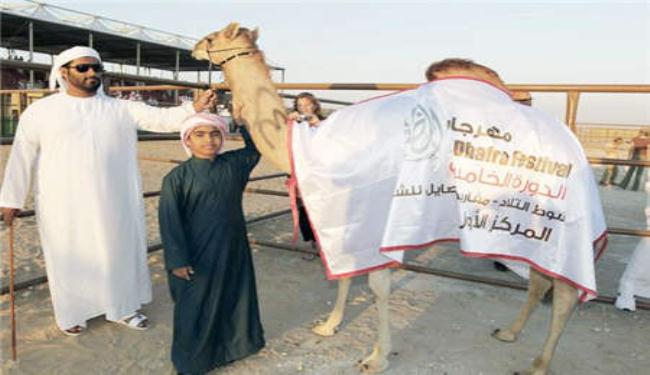 بيع ناقة بـاكثر من 2 مليون دولار بابوظبي