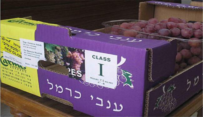 مصادر : تل أبيب بدأت تتأثر بشكل جدي بالمقاطعة