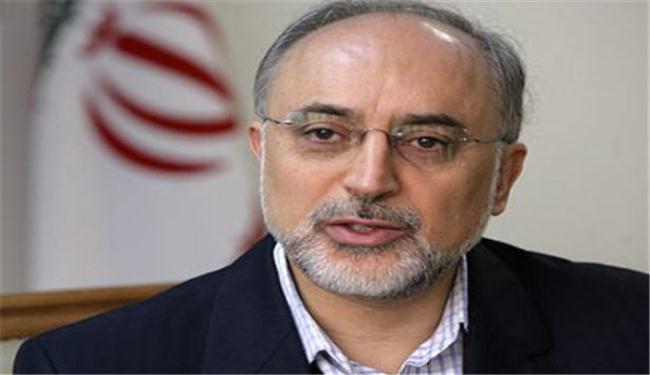 صالحي: تهديدات اميركا ضد ايران خاوية 