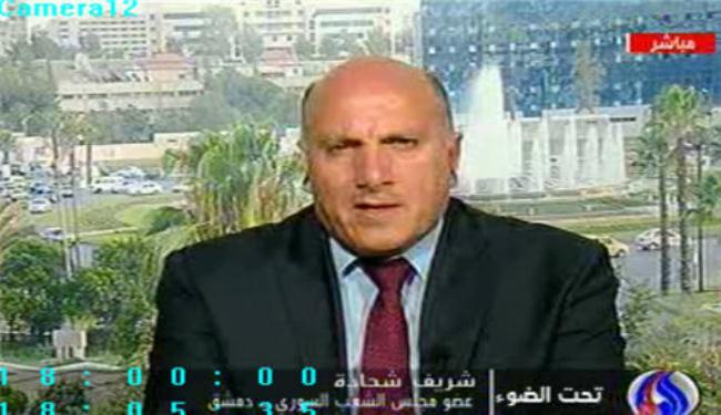 برلماني: الصمود الشعبي السوري أفشل الخيار العسكري