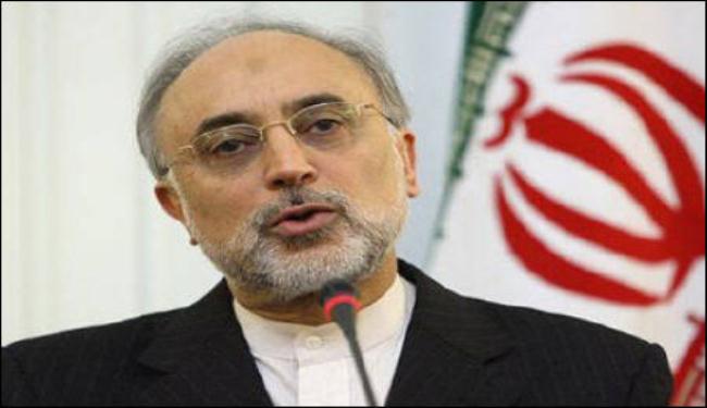 صالحي: تهديدات اسرائيل بضرب ايران خاوية 