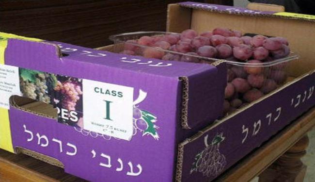 الاحتلال يحتج على تمييز جنوب افريقيا لمنتجات المستوطنات