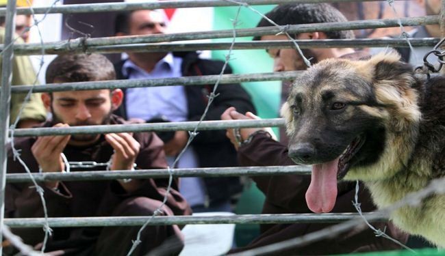 اعلام همبستگی با اسرای فلسطینی