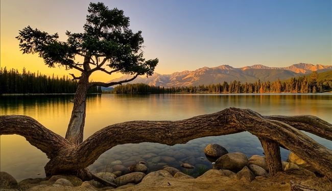 صور خلابة من الطبيعة و بألوان لا مثيل لها