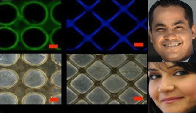 إنتاج أنسجة للقلب الصناعي بالمواد الإنسانية