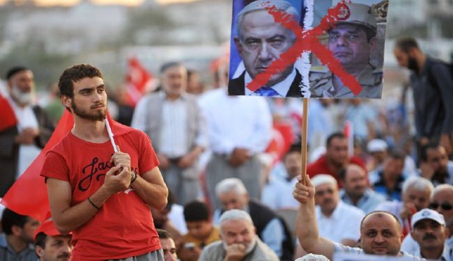 تظاهرة في اسطنبول دعما للرئيس المعزول مرسي
