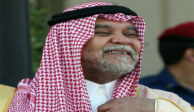 بندر شاهرا سيفه في مزاد الربيع العربي