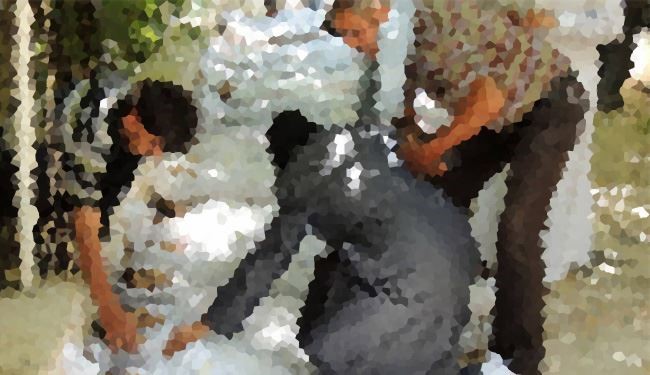 دلیل ساختگی بودن تصاویر حمله شیمیایی در سوریه