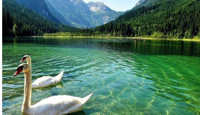 تصاویری چشم نواز از طبیعت زیبا