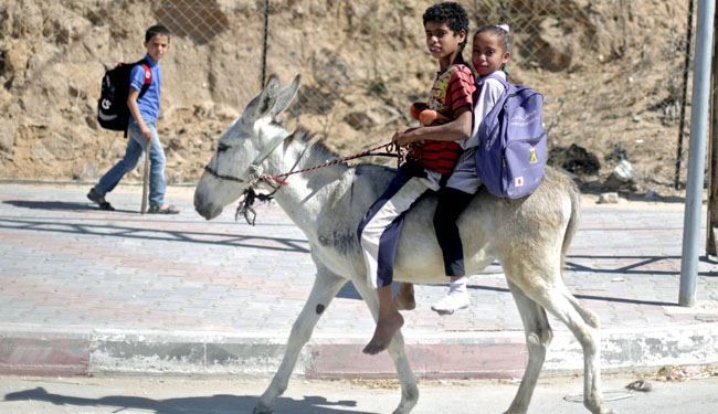 محاصره غزه فوری برداشته شود