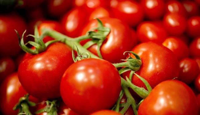 سریال گوجه فرنگی سرطانزای صهیونیستی به لبنان رسید