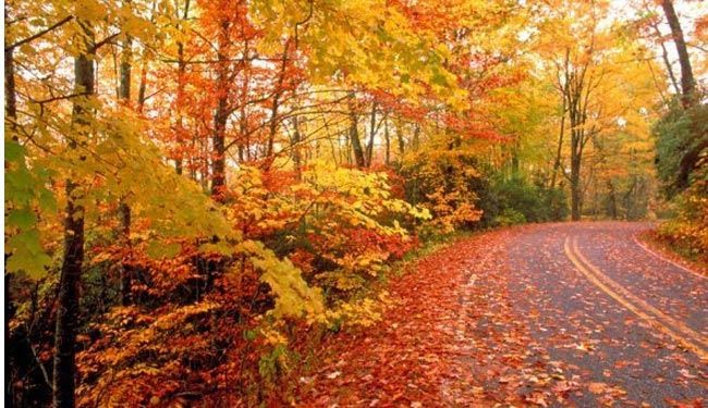 تصاویر زیبا و دیدنی از طبیعت