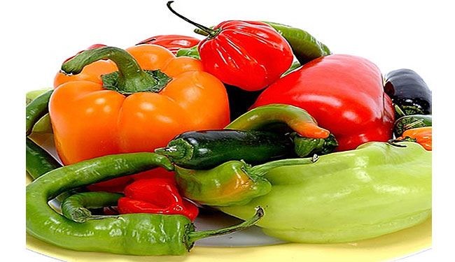 حتی بوی این غذاها هم لاغرتان می‌کند