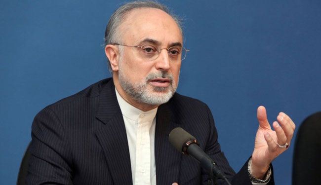 صالحي: التخلي عن مفاعل الماء الثقیل بمثابة العدول عن التخصیب