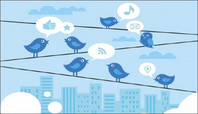 تويتر Twitter تختبر ميزة 