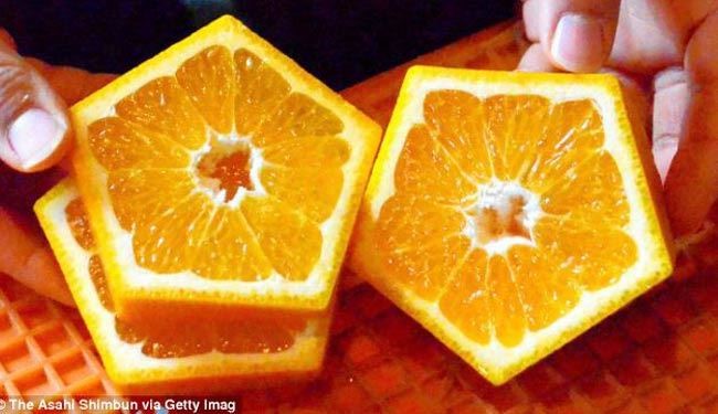 پرتقال عجیب 5 ضلعی در ژاپن + عکس