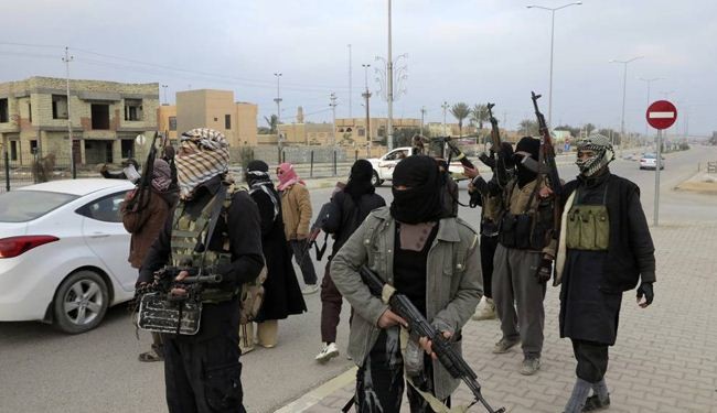 مقتل أكثر من 800 من 