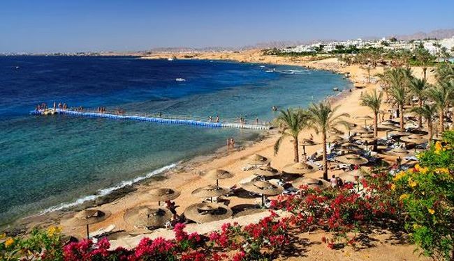 سینا هزار روز دیگر 