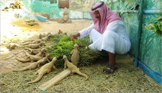 300 ضب، فئران وذباب ،مصارعة الاسد ..مهور غريبة بزيجات الشعوب!