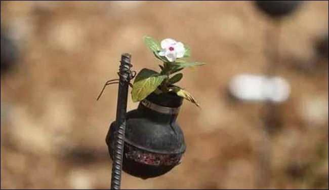 بالصور.. تزرع الزهور في قلب القنابل التي قتلت ابنها