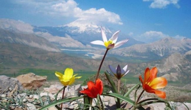 تصاویر دیدنی طبیعی از گوشه و کنار دنیا