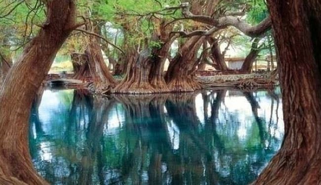تصاویر زیبا از طبیعت