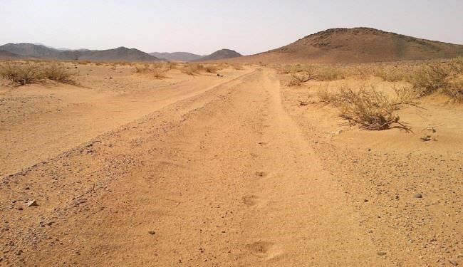 همکاری شرلوک هولمز عربستانی با نیروهای امنیتی!