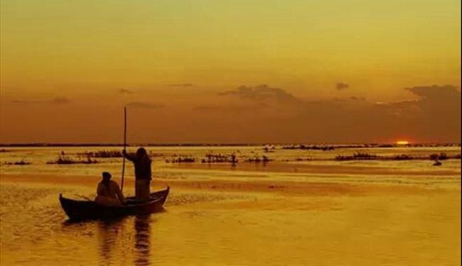صورة من بحر النجف