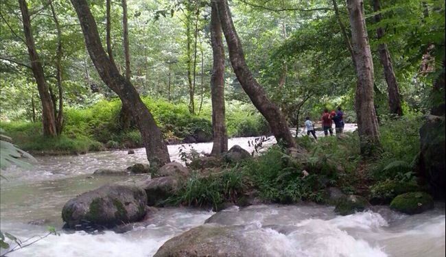 طبیعة خضراء لشمال ایران - مازندران