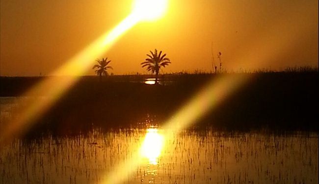 بعدستي : غروب الشمس في أهوار جنوب العراق