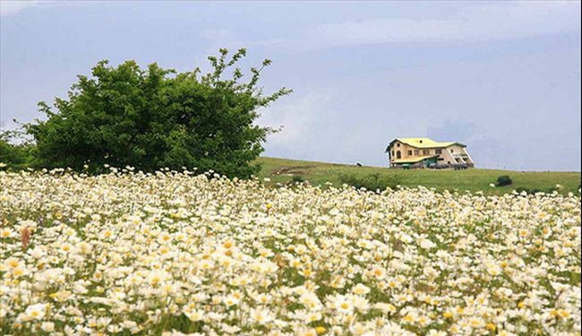 السیاحة في ایران - أردبیل
