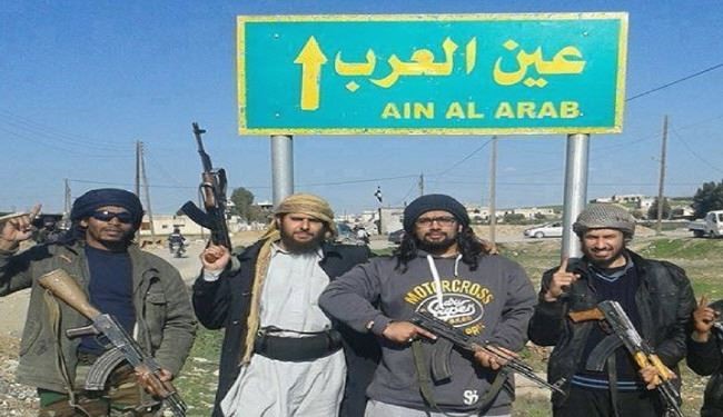 چند نفر در درگیری‌های کوبانی قربانی شده‌اند؟