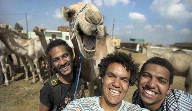 صورة.. جمل يحول شبابا مصريين إلى نجوم