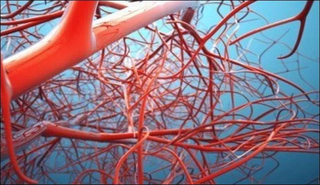 تقنية جديدة للإسراع في توليد العروق الدموية
