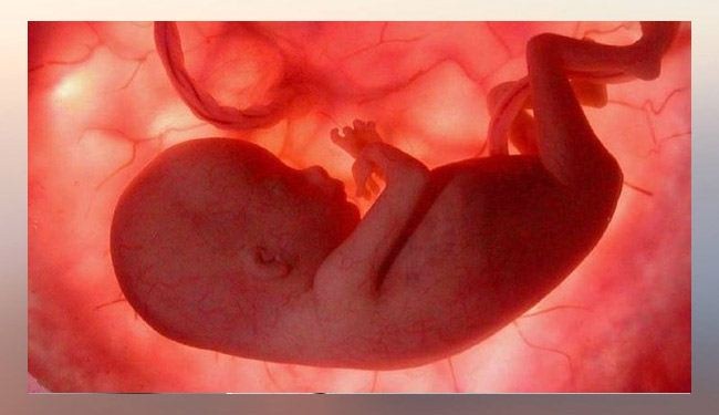 تراجع ذكاء الأجنة المعرضين لمواد كيمياوية بالأغذية