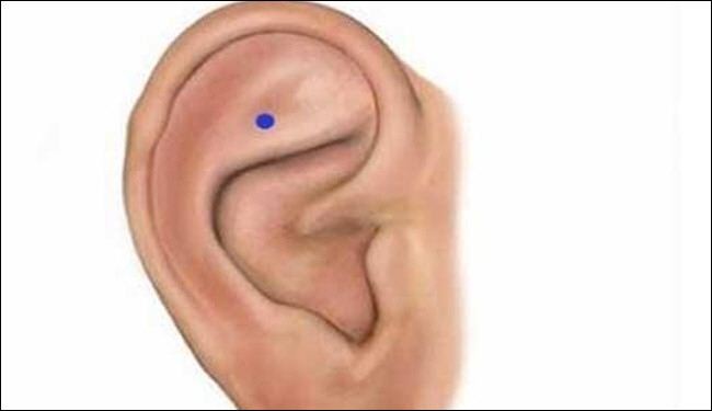 دلك هذه المنطقة من الأذن لتحصل على حياة مختلفة!