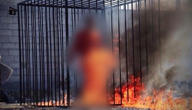«داعش» وجهلنة الإسلام