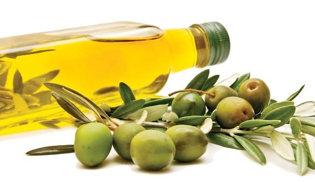 دراسة جديدة : زيت الزيتون يقضي على الخلايا السرطانية
