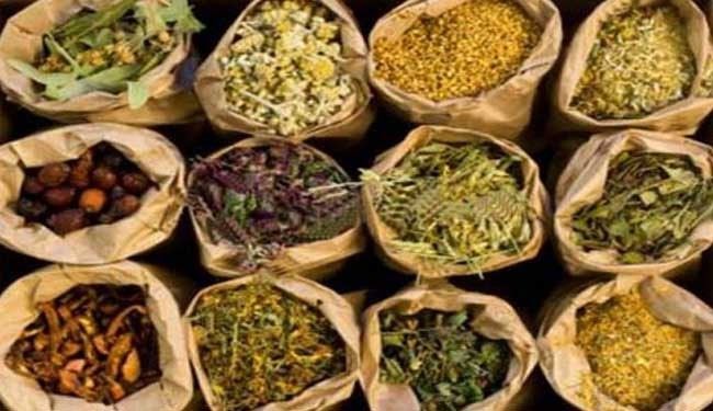 ایران في المرتبة الـ ۱٥ عالمیا من حیث انتاج الاعشاب الطبیة