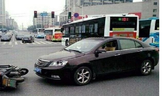 صور... يواصل اللعب بعد اصطدامه بسيارة
